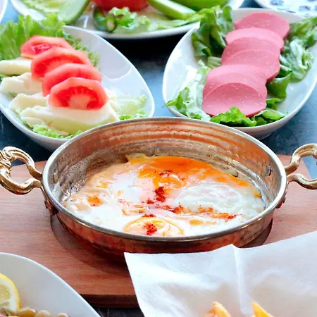 Hotel Vizyon *