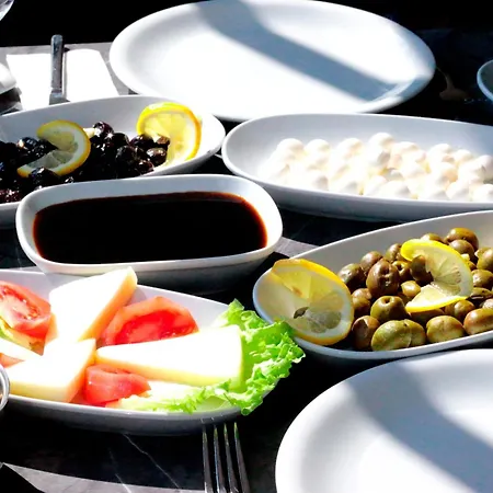 Vizyon Hotel Darıca