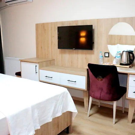 Hotel Vizyon *